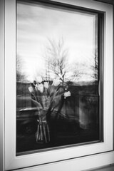 A bouquet of tulips is reflected in the window glass close-up. Black and white photo. Melancholy mood. The concept of nostalgia, parting, loneliness and sadness. Gone youth. Day of Remembrance.