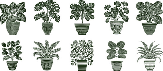 Collection of indoor plants. Lino cut artwork style vector. Minimalistic isolated illustration