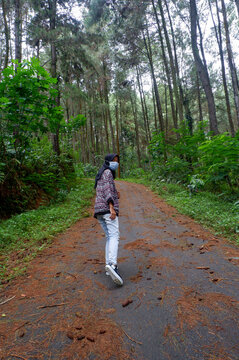 An Asian woman wearing a hijab in a pine forest in Indonesia