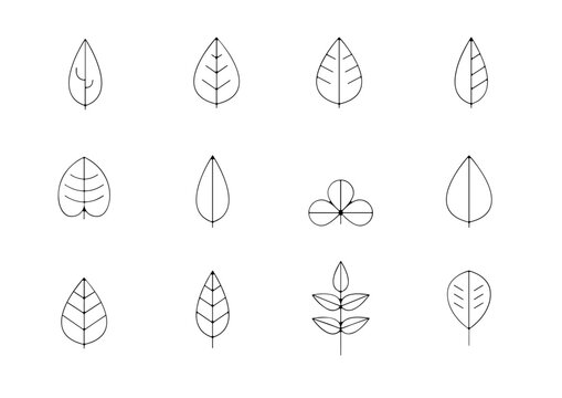 Planche icone feuille et feuillage nature arbre et plante