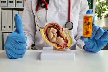 Doctor holding a 3D printed fetus model and pills in hands with thumbs up - obrazy, fototapety, plakaty