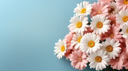 Daisy flowers with copy space for text. Frame with chamomile flowers. Flowers on isolated background