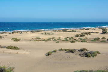 Sandy beach of Maspalomas with a view of the sea on Gran Canaria in Spain