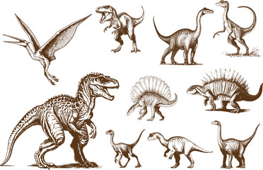 Dinosaur collection, hand drawing, engraving, ink, line art, vintage vector