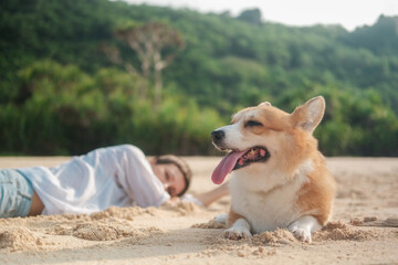 In the foreground, on a sandy beach, lies a Welsh Corgi dog with its tongue hanging out of its mouth, and in the background, a woman in a white shirt. A relaxing holiday on the beach with your dog.