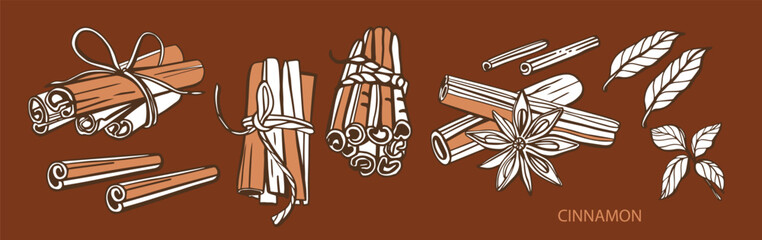 Isolated hand drawn vector set of cinnamon in engraving style. Braun and chocolate colors. Cinnamon sticks and star anise. Style spice and flavor object. Cooking and aromaterapy ingredient.