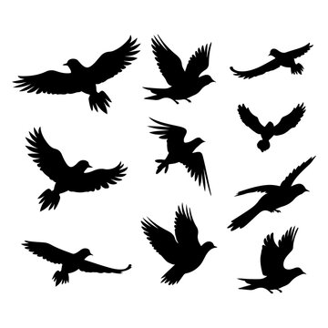 Dove black silhouette. Cute dove bird hand drawing art and vector illustration