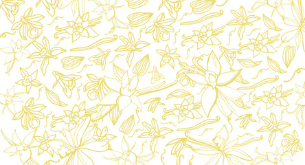 Fototapeta premium Isolated vector set of vanilla. Pattern. Vanilla sticks, vanilla flower and pods. Aroma, food. Hand drawn. Vector hand drawn illustration of orchid Flower and pods on isolated white background.