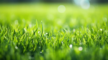 Foto op Canvas Green lawn with fresh grass outdoors.Nature spring garden © Yuwarin