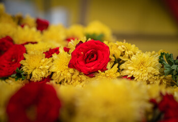Bloomed Red rose flower with yellow flower background photo in flowermarket