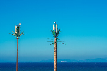Telephone antennas hidden in palm trees