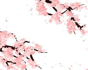Valentines Frame With Sakura Flowers Branch. Cherry Blossom Spring Background. Falling Petals Border Clipart, Cute Pink Flower Invitation Card.