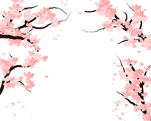Spring Frame With Sakura Flowers, Cherry Blossom Branch Border. Falling Petals Background.
