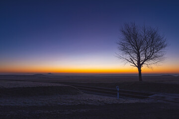 Lonely tree and silhouette of a Hazmburk castle in a frosty morning