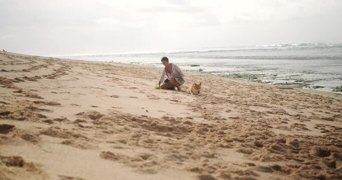 Long shot of a Welsh Corgi dog owner cleaning up dog feces on the beach. Beach rules are to remove dog excrement and keep the beach clean. Eco-friendly compostable dog poop bags.
