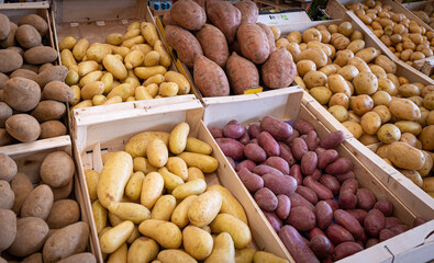 Pomme de terre