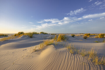 Dünenlandschaft an der Nordsee