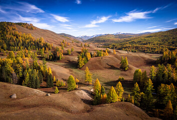 Vivid autumn colors drape the rolling hills of Altai in this aerial landscape, capturing the tranquil beauty of fall.