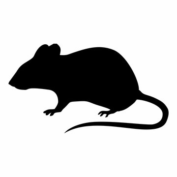 recommend clip art: Chinese New Year black rat silhouette