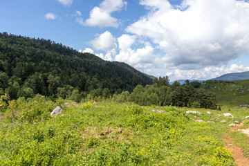 Walking through the subalpine meadows in the highlands during the flowering of plants and warm weather.
