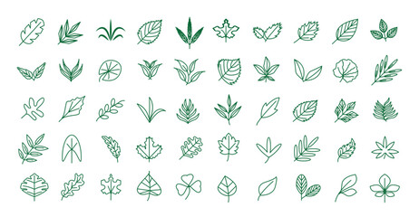 Collection of greenery leaf plant forest herbs tropical leaves icons