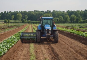 Obraz premium tractor in meadow with summer flowers mowing grass under blue sky in the netherlands in dutch province of utrecht