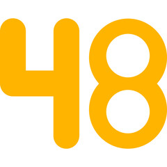 Forty eight Icon
