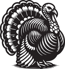 Thanksgiving Turkey Illustration