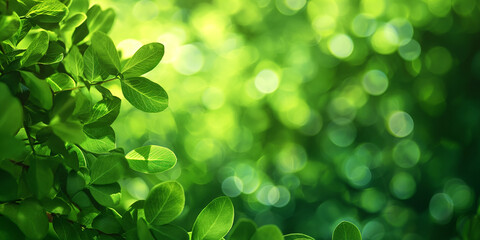 Fototapeta na wymiar Sunlit Fresh Green Leaves on Blurred Background