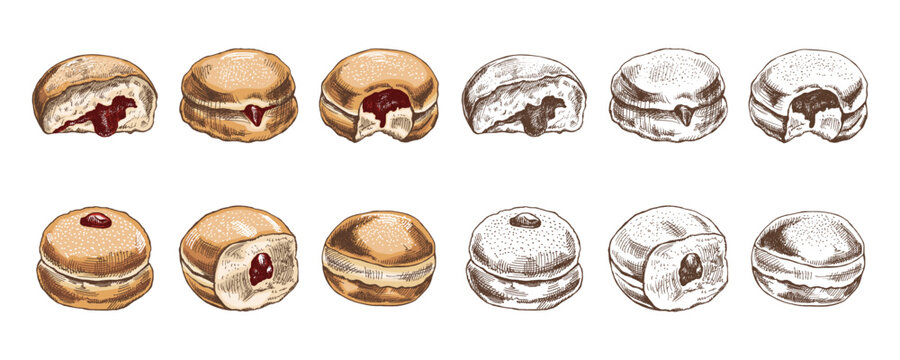 A set of hand-drawn colored and monochrome sketches of a traditional German or Polish donut with jam, dusted. Vintage. Pastry sweets, dessert. Element for the design of labels.