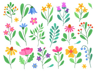 Collection of simple cute flowers, plants, branches and berries. Flowers and leaves of different shapes. Spring flowers. Design elements.