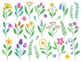 Spring cartoon flowers. Collection of simple cute flowers, plants, branches and berries. Flowers and leaves of different shapes. Design elements.