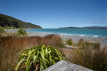 Beach and grass at Camp Bay. Wellington Harbour area. Coast. 