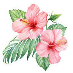 Tropical flowers Hibiscus and palm leaves isolated background, floral watercolor illustration, Pink flora composition