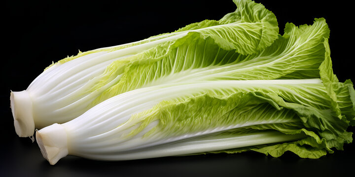 Endive,Cut Leaf Lettuce,
vegetables, greens, salad, chicory, leafy greens, healthy, nutritious, culinary, 