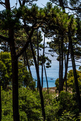 Obraz premium Paisaje en las Islas Cies.