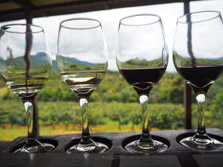 Four wineglasses filled with white wine and red wine. Winetasting at a vineyard. The venue is overloooking a field. 