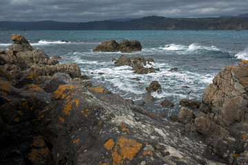 Fototapeta na wymiar Rocky coast at Breaker Bay. Wellington New Zealand. Tasman Sea. Waves.