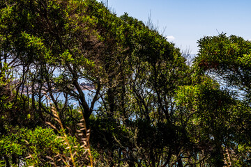Paisaje en las Islas Cies.