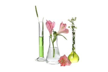 PNG, Test tubes with flowers, isolated on white background
