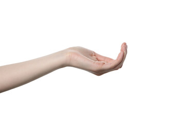 PNG,female hand, isolated on white background