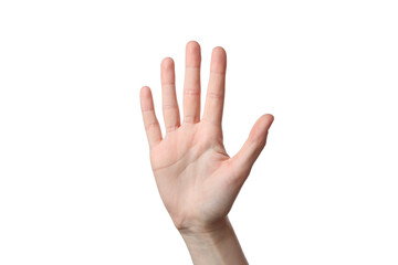 PNG,hand showing five fingers, isolated on white background