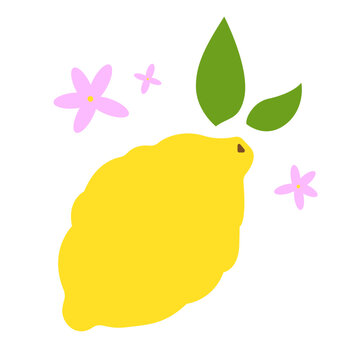 citron de provence