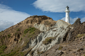Fototapeta na wymiar Lighthouse on rocks. Castle point coast New Zealand. Pacific ocean.