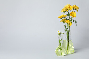 Test tubes and flowers, Herbal medicine, concept of herbal medicine research