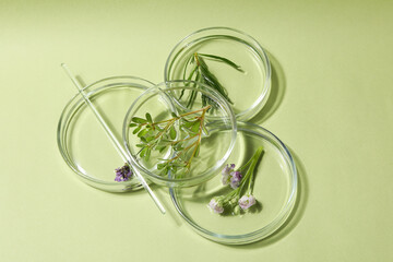 Herbal medicine, concept of herbal medicine research