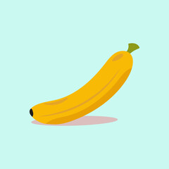 Free vector illustration of a banana fruit food flat icon premium style vector design