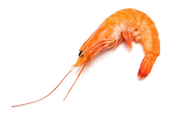 King shrimp isolated on white background.