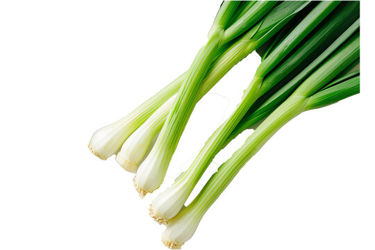 Leek stems