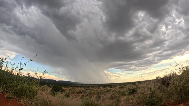 Timelapse that captures the dynamic evolution and graceful dance of rain clouds across the stunning African landscape of the dry Southern Kalahari. A heavy downpour follows.